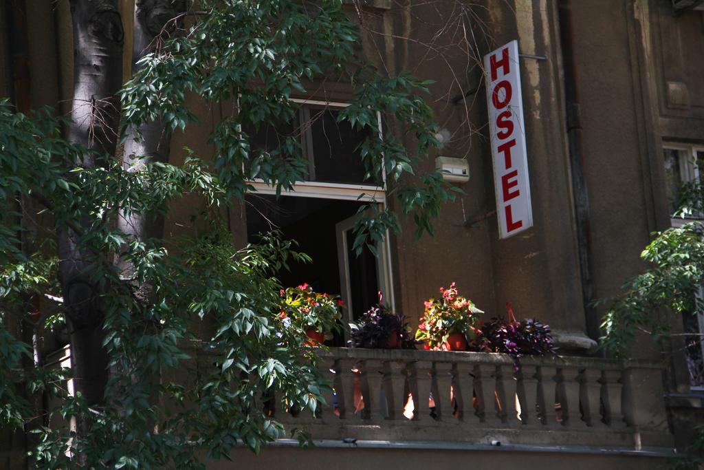 Hostel Sova Novi Sad Ngoại thất bức ảnh
